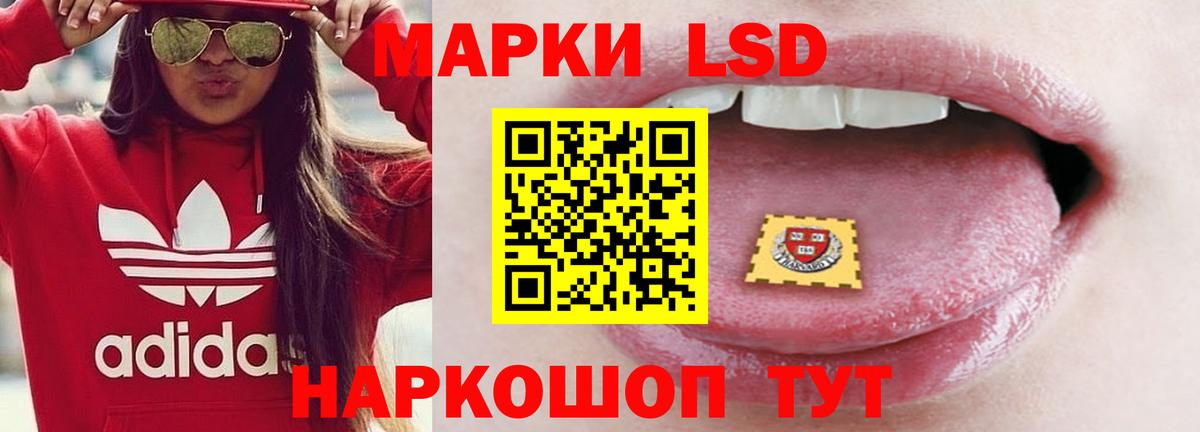 LSD-25 экстази кислота Новоалександровск