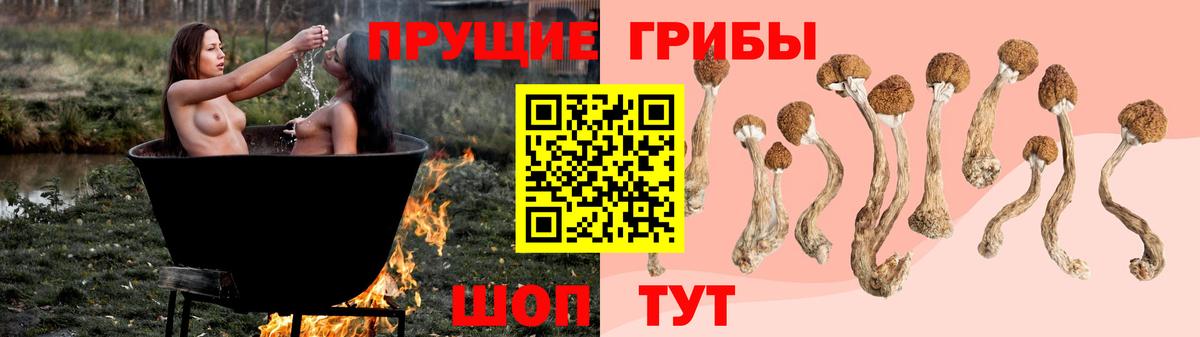 Новоалександровск  даркнет сайт  Вход с VPN  Псилоцибиновые грибы ЛСД 